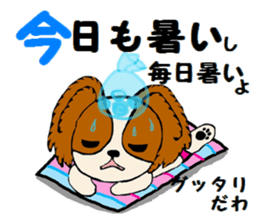 Sticker  of the dog wared a swimsuit sticker #6375954