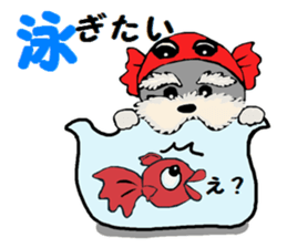 Sticker  of the dog wared a swimsuit sticker #6375955