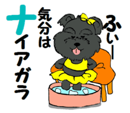 Sticker  of the dog wared a swimsuit sticker #6375956