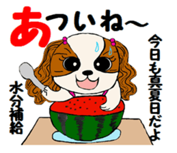 Sticker  of the dog wared a swimsuit sticker #6375959