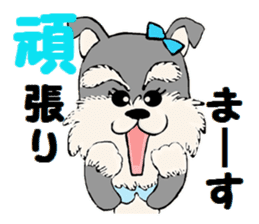 Sticker  of the dog wared a swimsuit sticker #6375963