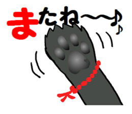 Sticker  of the dog wared a swimsuit sticker #6375969