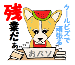 Sticker  of the dog wared a swimsuit sticker #6375973