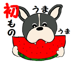 Sticker  of the dog wared a swimsuit sticker #6375974