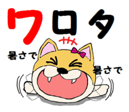 Sticker  of the dog wared a swimsuit sticker #6375980