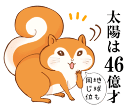 The Galaxy & a Girl & a Squirrel sticker #6376406