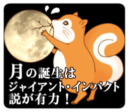 The Galaxy & a Girl & a Squirrel sticker #6376414