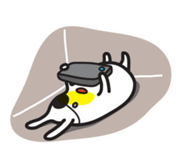 Oh my Akki sticker #6376736