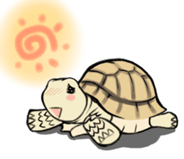 Tortoise diary sticker #6377232