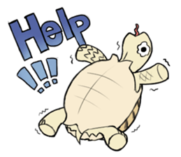 Tortoise diary sticker #6377235