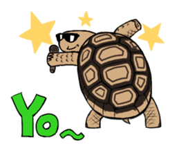 Tortoise diary sticker #6377238