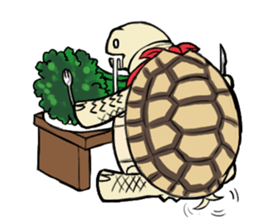 Tortoise diary sticker #6377240