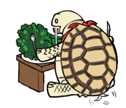 Tortoise diary sticker #6377240