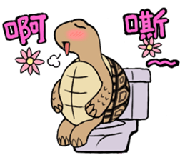 Tortoise diary sticker #6377245