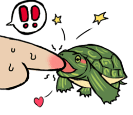 Tortoise diary sticker #6377248