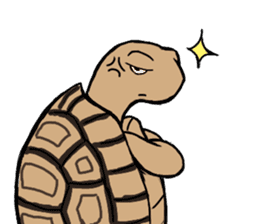 Tortoise diary sticker #6377259