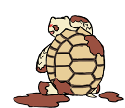 Tortoise diary sticker #6377261