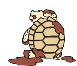 Tortoise diary sticker #6377261