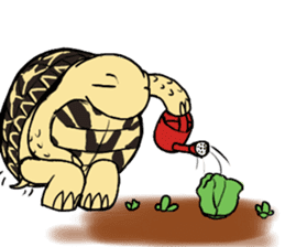 Tortoise diary sticker #6377262