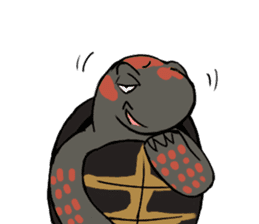 Tortoise diary sticker #6377268