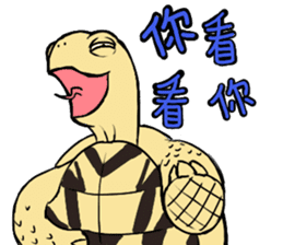 Tortoise diary sticker #6377269