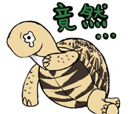 Tortoise diary sticker #6377270