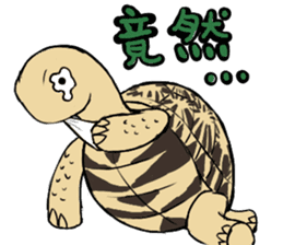 Tortoise diary sticker #6377270
