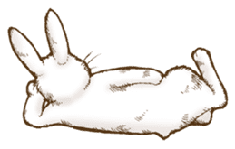 Alice's the white rabbit 2 sticker #6379376