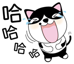 Brother cats - Amei & Amo sticker #6380539