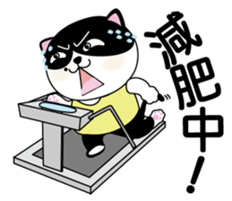 Brother cats - Amei & Amo sticker #6380541