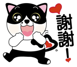 Brother cats - Amei & Amo sticker #6380564