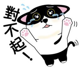 Brother cats - Amei & Amo sticker #6380573