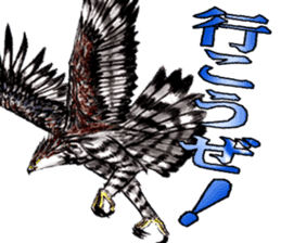 Sky Fighter F-Crowned Hawk-Eagle sticker #6381202