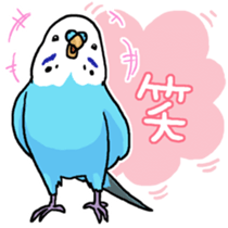 piko the budgerigar sticker #6381360
