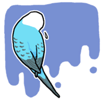 piko the budgerigar sticker #6381362