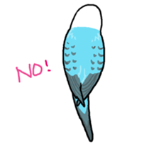 piko the budgerigar sticker #6381365