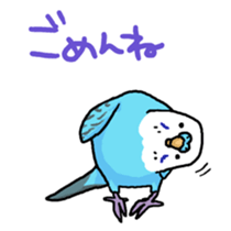 piko the budgerigar sticker #6381369