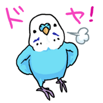 piko the budgerigar sticker #6381371