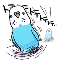 piko the budgerigar sticker #6381372