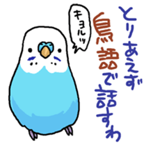 piko the budgerigar sticker #6381377