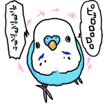 piko the budgerigar sticker #6381378
