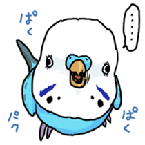 piko the budgerigar sticker #6381379