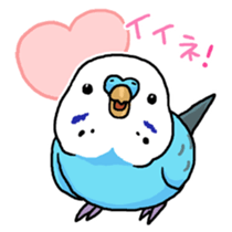 piko the budgerigar sticker #6381382