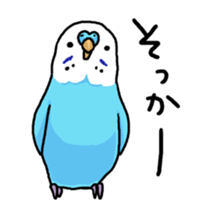 piko the budgerigar sticker #6381383