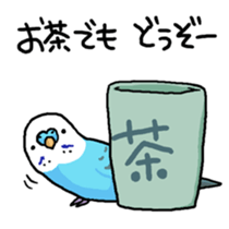 piko the budgerigar sticker #6381384