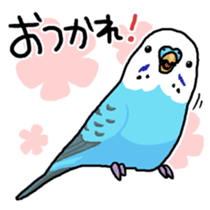 piko the budgerigar sticker #6381385