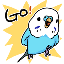 piko the budgerigar sticker #6381386