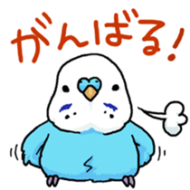 piko the budgerigar sticker #6381387