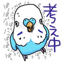piko the budgerigar sticker #6381393