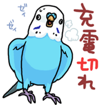 piko the budgerigar sticker #6381394